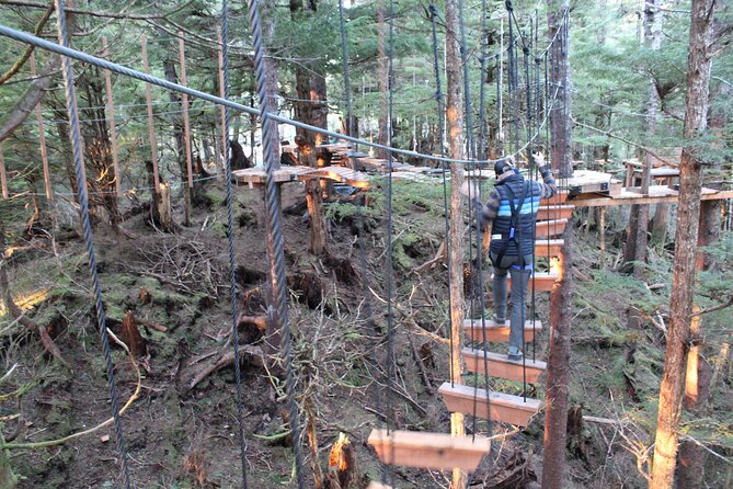 Aerial Adventure Ropes Course in Sitka - Key points to know before you climb