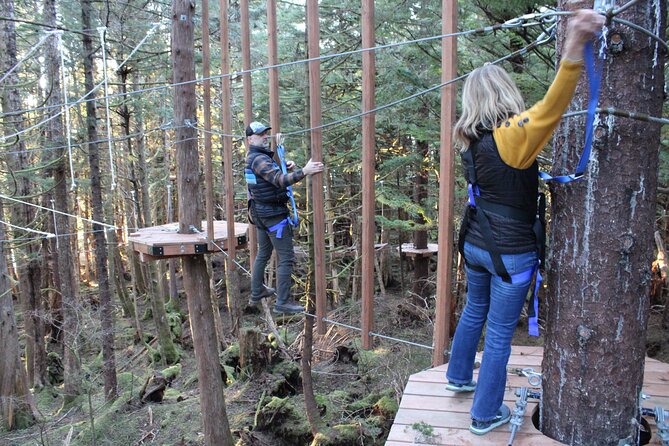 Aerial Adventure Ropes Course in Sitka - The Eagle Course reaches the high point