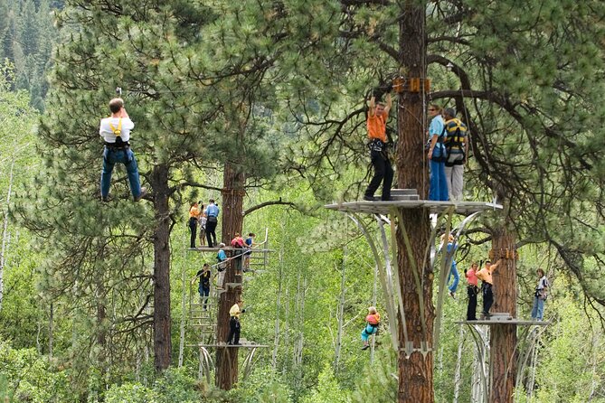 All-Day Guided Zipline Tour with Train Ride and Lunch in Durango - What the forest ecology adds