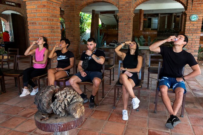 All-in-one PV Experience: Suspension bridge, Quads, Buggies, Ziplines and Mules - Tequila tasting, food, and the infinity pool