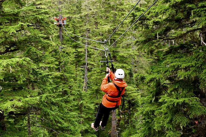 Alpine Zipline Adventure in Juneau, AK - Flying through Douglas Island’s old-growth forest