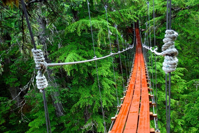 Alpine Zipline Adventure in Juneau, AK - Should you book the Alpine Zipline Adventure?