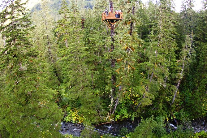 Alpine Zipline Adventure in Juneau, AK - What the zipline course feels like