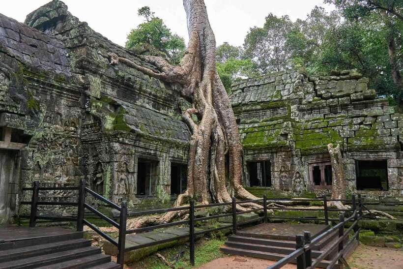 Angkor Zipline and Temple Tour with Sunset - The Orchid House safety briefing and Silver Course