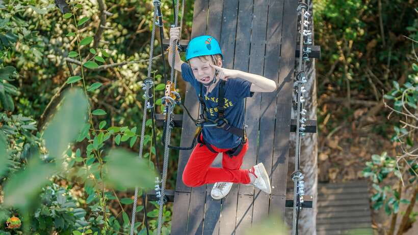 Angkor Zipline Eco-Adventure Canopy Tour - Flying through Angkor’s rain forest