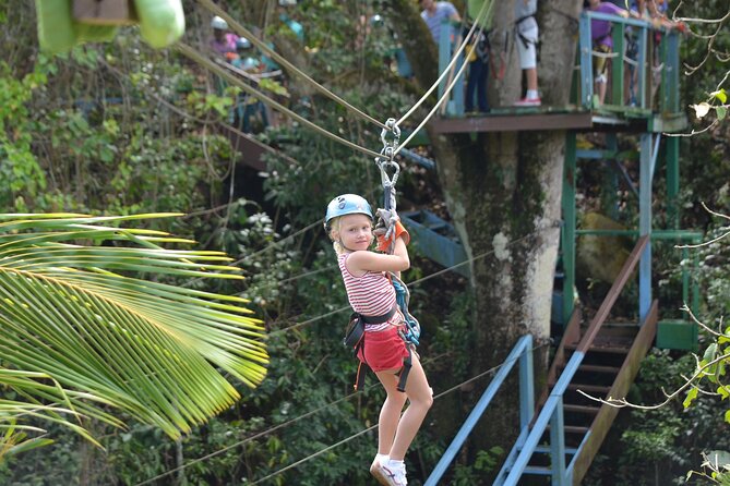Antigua Zipline Canopy Adventure from St John’s - What the rainforest adds to the experience