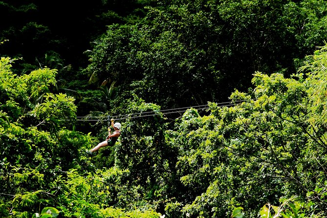 Antigua Zipline Canopy Adventure from St John’s - Is the $110 price fair?