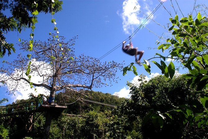 Antigua Zipline Canopy Adventure from St John’s - The first zipline and the rhythm of the course