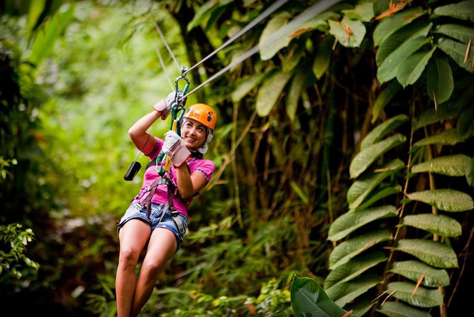 Antigua Zipline & Kayaking Combo From St. John's - Starting at Fig Tree Drive and the zipline park