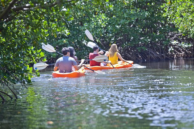 Antigua Zipline & Kayaking Combo From St. John's - Practical details to know before booking