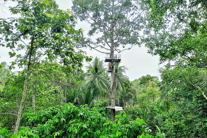 ATV And Zipline Experience on Koh Samui with Transfer - Moving from four wheels to the jungle canopy