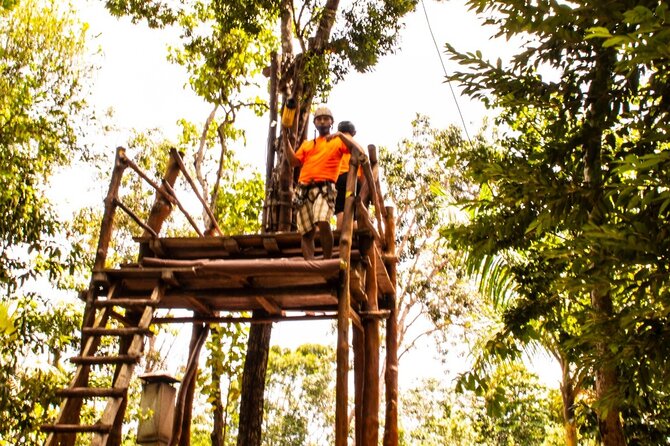 ATV Jungle Ride, Cenote & Ziplines! Roundtrip - Playa Del Carmen - What this five-hour jungle outing is really like
