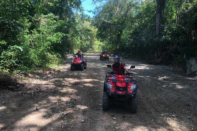 ATV N Zip: 8 Zip Lines plus ATV's - Eight zip lines, with a long final run
