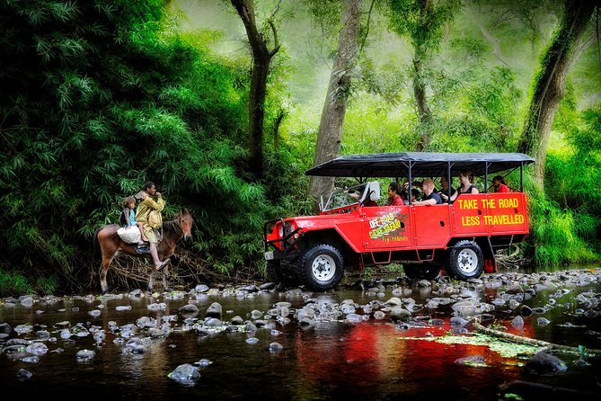 ATV Quad Bike and Zip Line Adventure Tour (Departs Nadi) - A brief ATV ride at Wailoaloa Beach