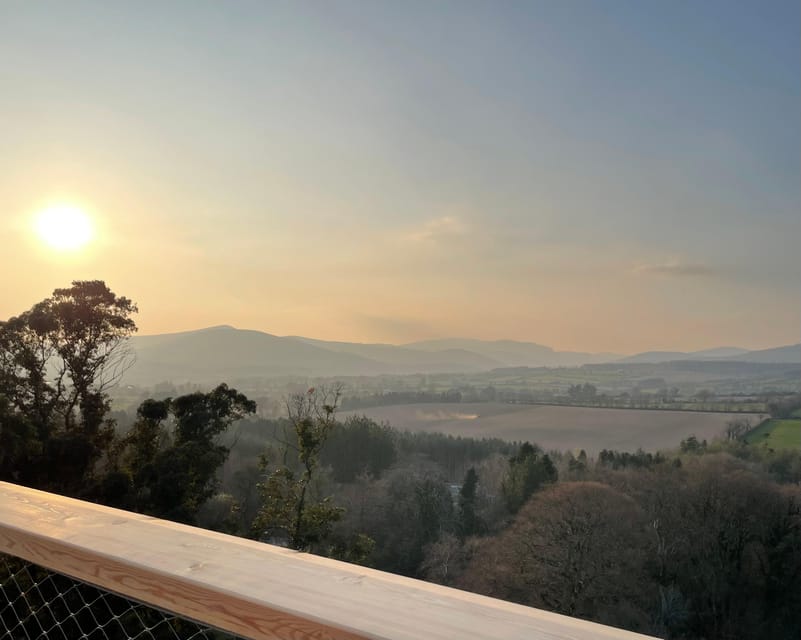 Avondale: Beyond the Trees Treetop Walk & Tower Entry Ticket - The viewing platform and Wicklow views