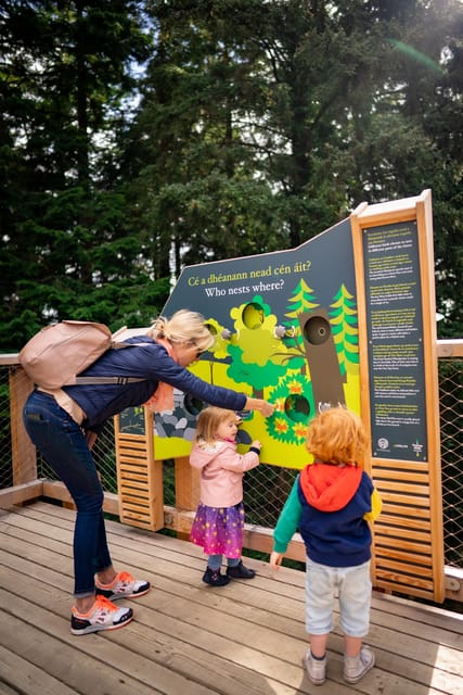 Avondale: Beyond the Trees Treetop Walk & Tower Entry Ticket - The 90-meter slide costs €2 extra