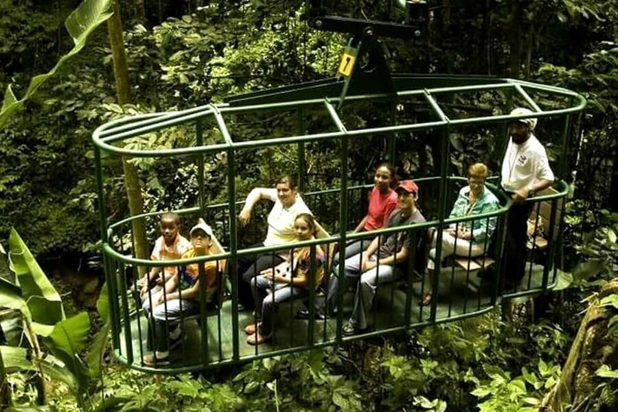 Babonneau/Castries: Rainforest Zip Line, Tram, and Hike Tour - Key points to know before booking