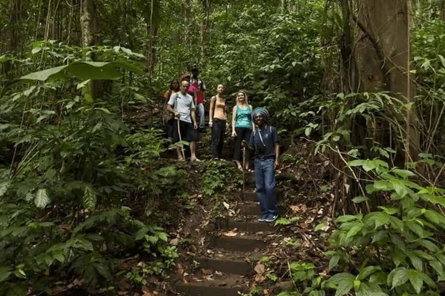 Babonneau/Castries: Rainforest Zip Line, Tram, and Hike Tour - Three ways to meet the Castries rainforest