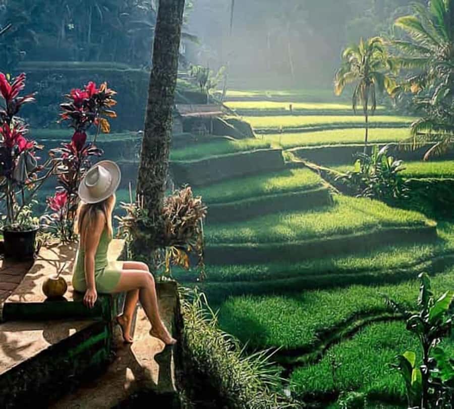 Bali: Ubud Day Tour with Swing and Zipline - Tegallalang shows Bali’s famous rice terraces