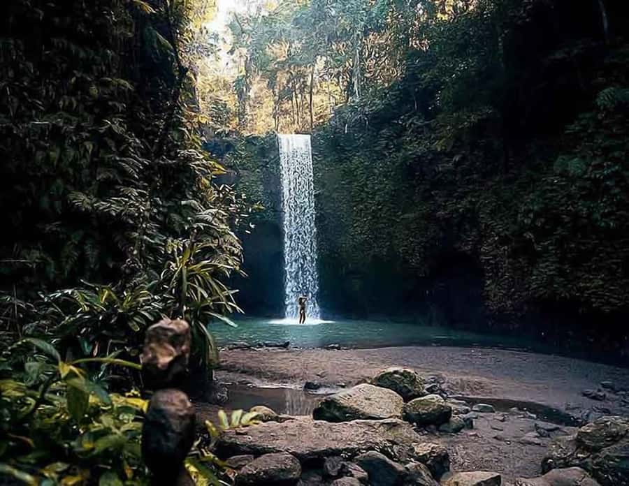 Bali: Ubud Day Tour with Swing and Zipline - The guide can shape the whole day