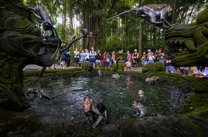 Bali Ubud Zipline, Monkey Forest and Waterfall Adventure - The Sacred Monkey Forest Sanctuary