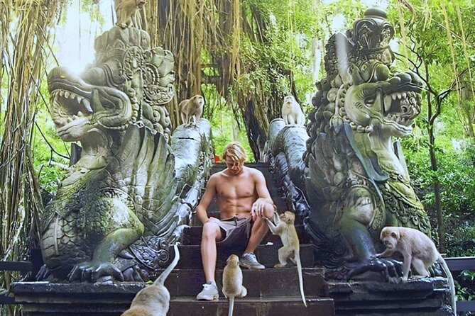 Bali Ubud Zipline, Monkey Forest and Waterfall Adventure - Rice terraces between the major stops