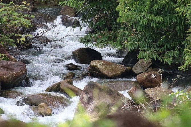 Bamboo Rafting, ATV Riding and Zip Line Tour From Phuket - Group size, safety, and physical demands