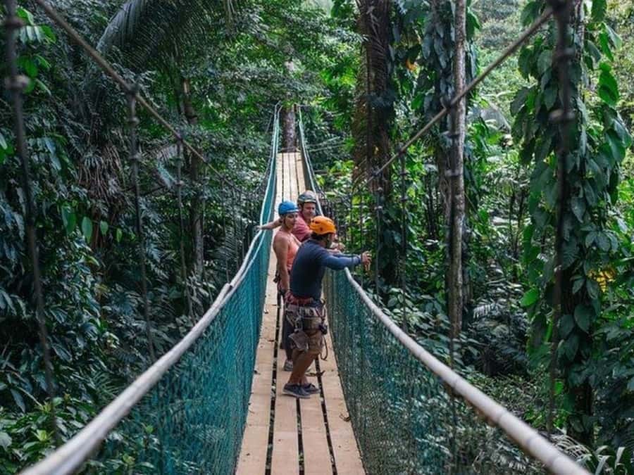 Belize: Thrilling Zipline Adventure at Bocawina Rainforest - Key points at a glance