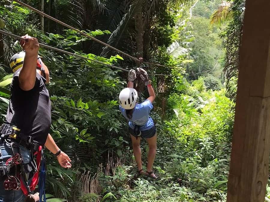 Belize: Thrilling Zipline Adventure at Bocawina Rainforest - Eight runs through the Mayflower rainforest