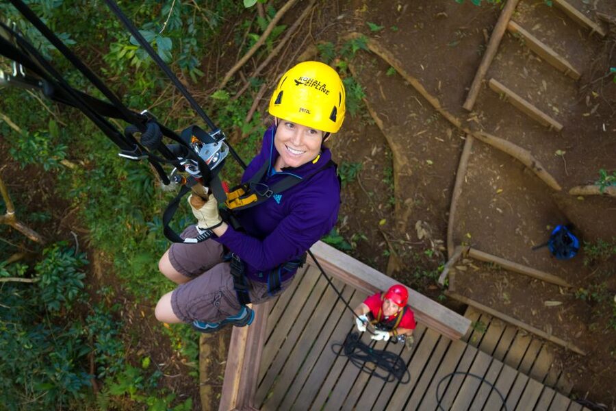 Big Island: 3-Hour Kohala Canopy Zipline Adventure - Starting in Hawi, then heading into Kohala forest