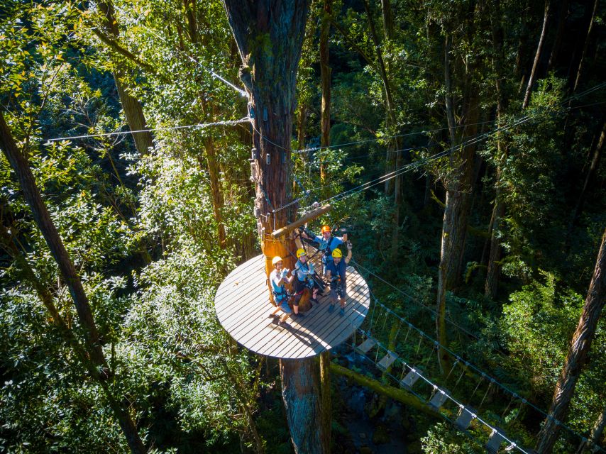 Big Island: 3-Hour Kohala Canopy Zipline Adventure - Rain, water, and the realities of a forest course