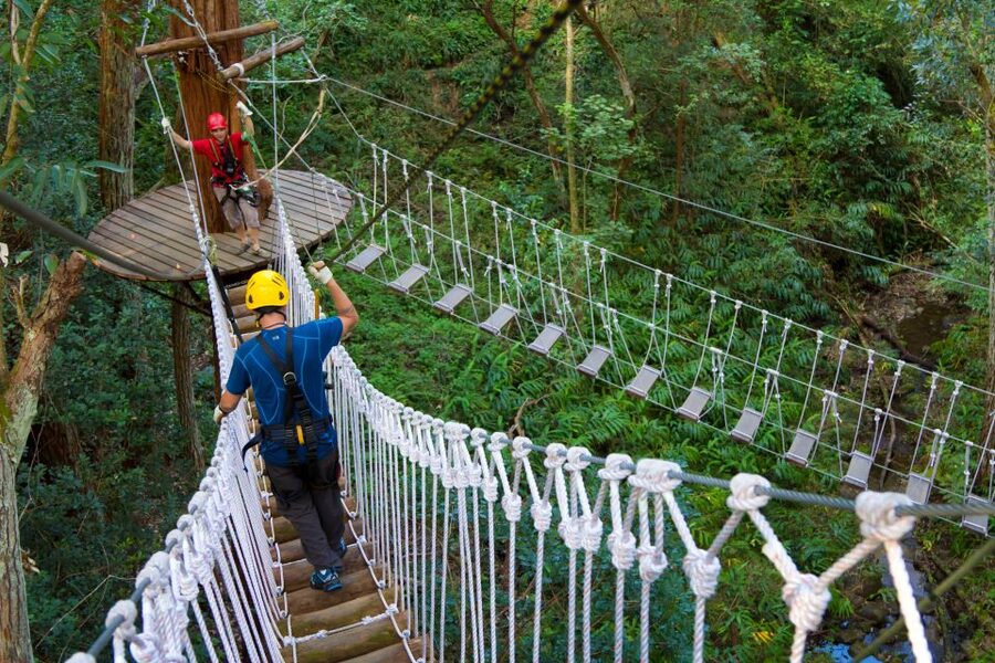 Big Island: 3-Hour Kohala Canopy Zipline Adventure - Who should book this Kohala zipline