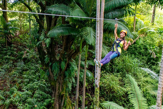 Big Island: 8-Zipline & Suspension Bridge Waterfall Adventure - Key details before you book