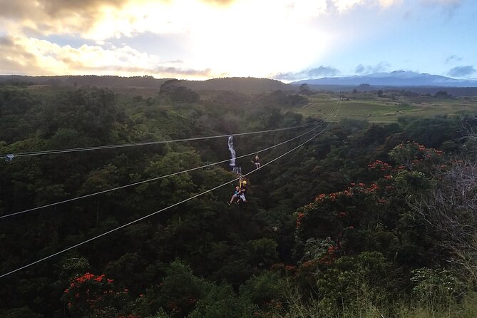 Big Island: 8-Zipline & Suspension Bridge Waterfall Adventure - Eight rainforest lines, with the best saved for last