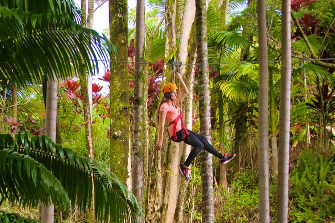 Big Island: 8-Zipline & Suspension Bridge Waterfall Adventure - Botanical World is more than a zipline course