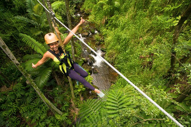Big Island: 8-Zipline & Suspension Bridge Waterfall Adventure - What the $237.70 price really buys you