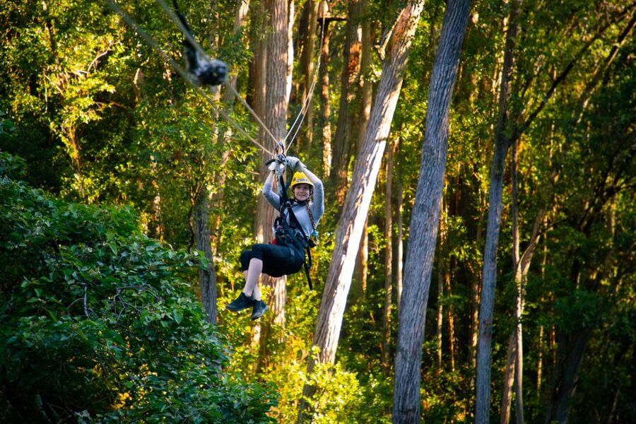 Big Island: Full-Day Kohala Zipline and Waterfall Adventure - From Kona to Hawi, a scenic start to the day