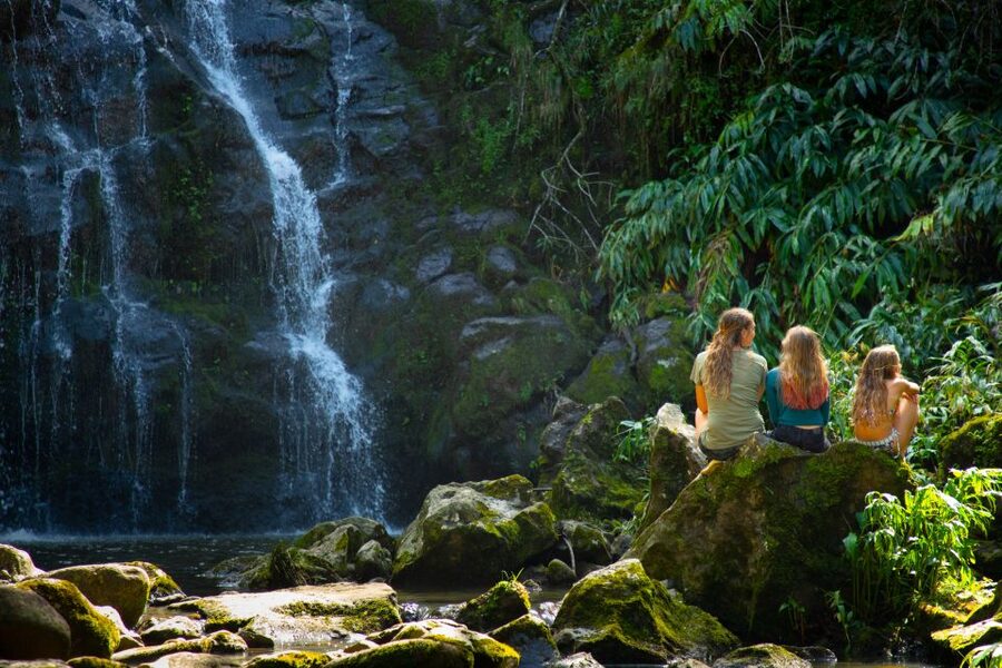 Big Island: Full-Day Kohala Zipline and Waterfall Adventure - A mountain picnic with wide coastal views