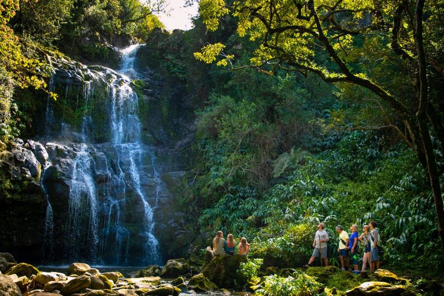 Big Island: Full-Day Kohala Zipline and Waterfall Adventure - Who will enjoy this most