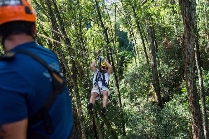 Big Island Kohala Canopy Zipline Adventure - What happens during the three-hour course