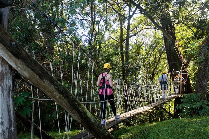 Big Island Kohala Canopy Zipline Adventure - Who will enjoy this course most