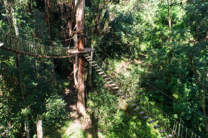 Big Island Kohala Canopy Zipline Adventure - Is $256.54 a fair price?