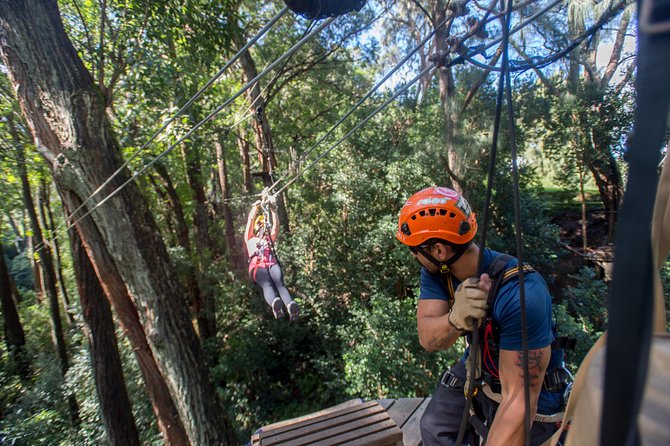 Big Island Kohala Canopy Zipline Adventure - Pair the outing with Hawi
