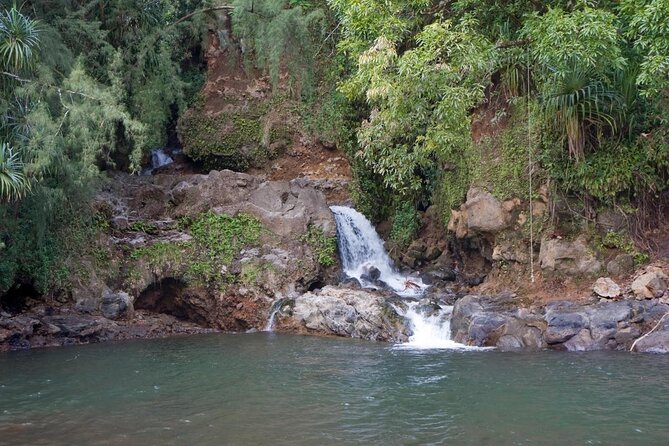 Big Island Zipline Tour Near Akaka Falls (250-ft Waterfall!) - Guides who make first-timers feel steady