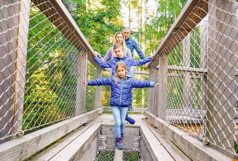 Black Forest: Treetop Walk & Lookout Tower Experience - Walking Above the Black Forest Canopy