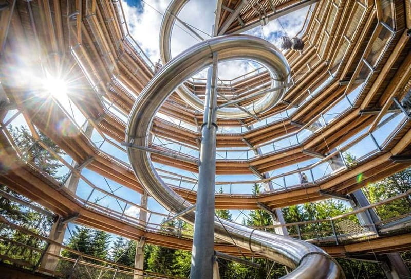 Black Forest: Treetop Walk & Lookout Tower Experience - Beech, Fir, and Spruce Along the Route