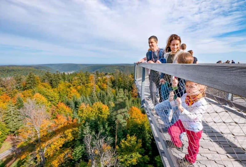 Black Forest: Treetop Walk & Lookout Tower Experience - The Tunnel Slide From 25 Meters