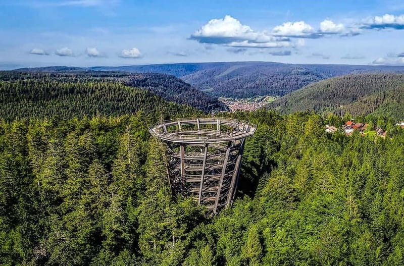 Black Forest: Treetop Walk & Lookout Tower Experience - What $15 Gets You