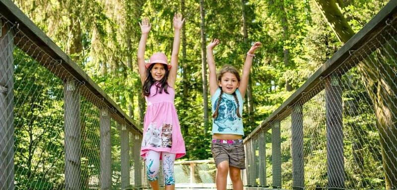 Black Forest: Treetop Walk & Lookout Tower Experience - Who Will Enjoy the Sommerberg Treetop Walk?