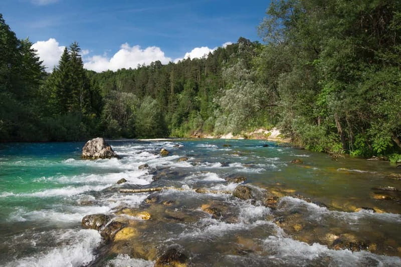 Bled: Europe's Longest Zipline Adventure over Dolinka River - From the first line to the seventh